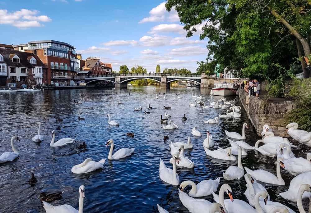 Maidenhead